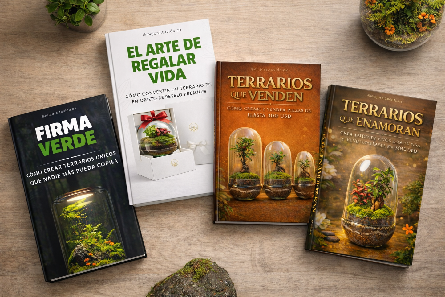 ✨ 𝟒𝐱𝟏: Terrarios que enamoran, dan paz y venden.